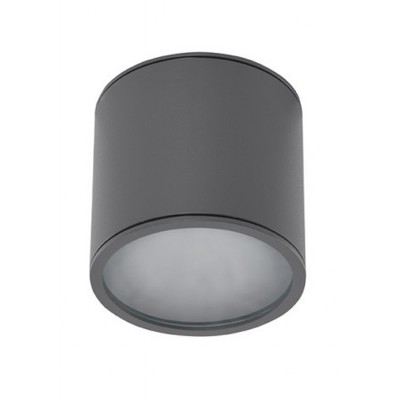 ALFAO 1x35W, GU10, IP65 Stropní přisazené venkovní svítidlo, těleso kov, povrch šedá, dif sklo opál, pro žárovku 1x35W, GU10, 230V, IP65, rozměry d=120mm, h=113mm.