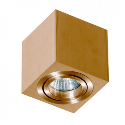 ELZA 1X50W,GU10 Stropní, přisazené, bodové svítidlo, těleso hliník, povrch. úprava dle typu, výklopný světelný zdroj +-60°, pro žárovku 1x50W, GU10, 230V, IP20,rozměry: 80x80x85mm