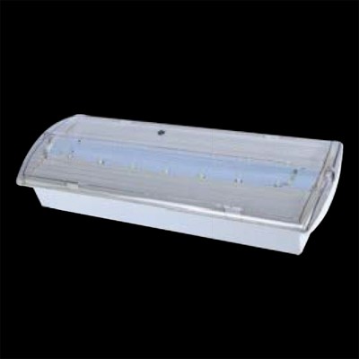 SELENA Nouzové svítidlo SE - pouze nouzové svícení, záloha 1h, plast bílá, difuzor plast transparentní, LED 6W, 60lm, 230V, IP42, rozměry 260x100x50mm