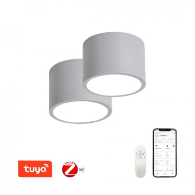 DALMATICA PL 12W, TUYA-Z 2ks Stropní svítidlo, 2ks, kov, šedá,  dif plast opál, LED 12W, 840lm, smart TUYA, Matter, Zigbee 3.0, dálk ovl. (souč.) nebo mob. tel. CCT nast teplá 2700K-denní 6500K, stmív, 230V, d=150mm, h=100mm