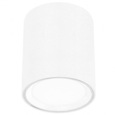 FALLON Long Stropní svítidlo, těleso kov bílá, s bílým dekorativním kroužkem, difuzor plast opál, pro LED 8,5W, teplá 2700K, 500lm, stmívatelné vyp/zap vypínačem 230V, IP20, tř.2, rozměry d=100mm, h=120m