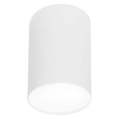 GULLO S Stropní svítidlo, těleso kov, povrch bílá, difuzor plast opál, pro žárovku 1x20W, E27, 230V, IP20, tř.1, rozměry d=130mm, h=200mm