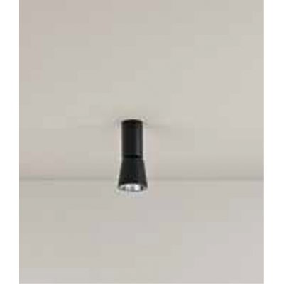 KRASA PL 10W Stropní bodové svítidlo, nast. směr svícení, základna kov, povrch černá, LED 10W, 900lm, teplá 3000K, vyzař. úhel 24°, Ra90, 230V, IP20, tř.1, rozměry d=70mm, h=150mm.