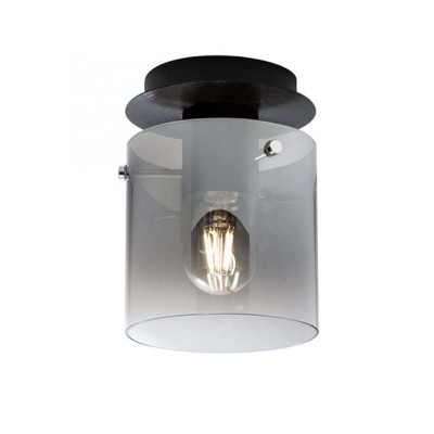 DENDRO PL 1x42W, E27 Stropní  přisazené svítidlo, těleso kov, povrch černá, stínítko sklo kouřové, pro žárovku 1x42W, E27, 230V, IP20, tř.2, rozměry d=120mm, h=210mm.