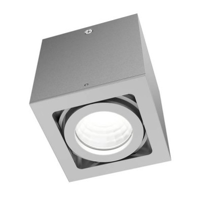 BERIT I Stropní přisazené svítidlo bodové, výklopné +-30°, materiál hliník, povrch šedostříbrná, pro žárovku 1x50W, GU10 ES50, 230V, IP20, rozměry 93x88x88mm.