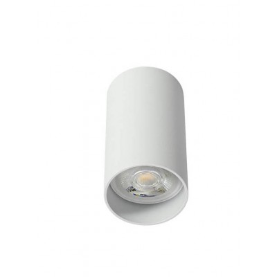 AXIS Stropní bodové svítidlo, těleso hliník, povrch bílá mat, pro žárovku 1x35W, GU10, ES50, 230V, IP20, tř.1, rozměry d=55,6mm, h=220mm.