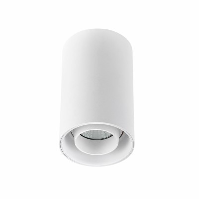 GABELA 1x10W, GU10 Stropní, přisazené, bodové svítidlo, výklopné +-50°, těleso hliník, povrch bílá, pro žárovku 1x10W, GU10, 230V, IP20, tř.1, d=80mm, h=130mm