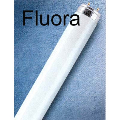FLUORA Světelný zdroj, lineární zářivka, zářivková trubice T8, patice G13, d=26mm, OSRAM - FLUORA, pro osvětrlení rostlin - energeticky úsporný světelný zdroj s dlouhou dobou života.