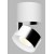 KLIP ON LED 11W Stropní přisazené bodové svítidlo, nastavitelný směr svícení, těleso hliník, povrch bílá/chrom, LED 1x11W, 770lm, teplá 3000K, Ra80, stmív DALI/PUSH, 230V, IP20, rozměry d=77mm, výška: 98,5mm