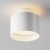 GENEA 12W Stropní přisazené svítidlo, těleso kov, povrch bílá, difuzor plast opál, LED 12W, 750lm, teplá 3000K, vyzař. úhel 120°, 230V, IP20, rozměry d=100mm, h=92mm, svítí nahoru/dolů
