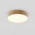GLORYST 36W Stropní nebo závěsné svítidlo, těleso kov, povrch zlatá mat, difuzor plast opál, LED 36W, 2220lm, teplá 3000K, Ra90, 230V, IP20, tř.2, rozměry d=300mm, h=60mm.