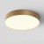 GLORYST 45W Stropní nebo závěsné svítidlo, těleso kov, povrch zlatá mat, difuzor plast opál, LED 45W, 2880lm, teplá 3000K, Ra90, 230V, IP20, tř.2, rozměry d=400mm, h=60mm.
