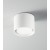 BARBY Stropní přisazené svítidlo, těleso hliník, difuzor plast opál, povrch bílá mat, pro LED 1x15W, GX53, 230V, IP20, rozměry d=100mm, h=80mm.