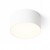 LARISA R 12 Stropní, přisazené svítidlo, těleso kov, povrch bílá, difuzor plast opál, LED 10W, 600lm, teplá 3000K, Ra80, 230V, IP20, rozměry d=123mm, h=60mm