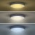 GREY 48W CCT Stropní svítidlo, těleso kov, povrch imitace beton, dif plast opál, LED 48W, 3360lm, dálk ovl. (součástí) lze nastavit CCT teplá 3000K - denní 6500K, stmív, 230V, IP20, rozměry d=380mm, h=80mm.