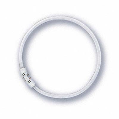 Лампа люминесцентная osram l 22w/840 22вт 840 g10q. Osram 5627 лампа упаковка. Osram кольцевая. Osram fc 55 w/840 2gx13. Патрон g10q для кольцевых ламп.