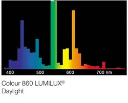 Lumilux-daylight